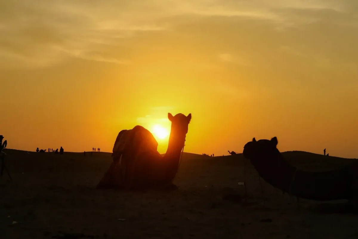 Family watching the sunset from a dune near Jaisalmer